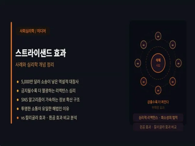 스트라이샌드-효과-설명-사진