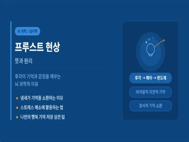 프루스트-현상-설명-사진